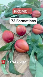 🔥PROMO EN LIGNE🔥 73 FORMATIONS🎁200 dt 🔥مركز تكوين إيناس ڨريع عامل أقوى عرض ☎️96 947 202 (WhatsApp et téléphone) Les formations: 1-Cake de voyage 2-Fondants 3- حلو شرق 4- رمضانيات 5- Mignardises 6- تكوين في جميع انواع الكعك 7- Biscuits secs 8- Nougat 9- Dattes farcies 10- عصيدة، بسيسة، زرير 11- Formation Tendance Assida & Zrir 12- Pâte à tartiner, confiture 13- Boulangerie 14- Hlow et gâteaux diététiques 15- Goûter enfants 1 16- Goûter enfant 2 17- Formation Tartes 18- العولة 19- Gâteaux soir