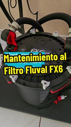 VillaQuatic on TikTok