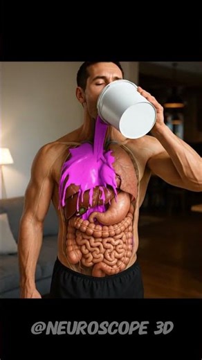 What Happens When You Drink Purple Colour Liquid? | 3D Body Reaction