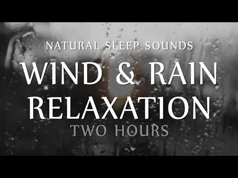 Wind and Rain Relaxation Two Hours Natural Sleep Sounds (White Noise for Sleep, Study, Meditation)