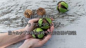 【美容師解説】全ナプラ ナシードトリートメントの違い・効果・選び方｜Hair.com