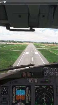 Short Haul Logistics: Boeing 737-8 Low Altitude Roig to Romy Procedure Flight