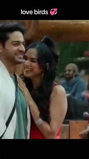 Love Birds: Understanding Their Behavior and Care