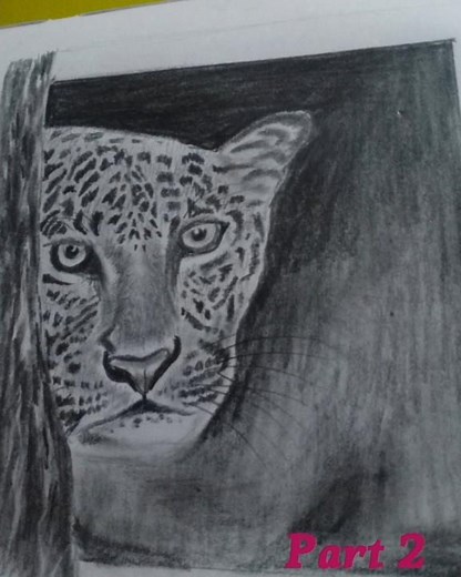 How to Draw a REALISTIC Leopard (Pencil Sketch Tutorial)