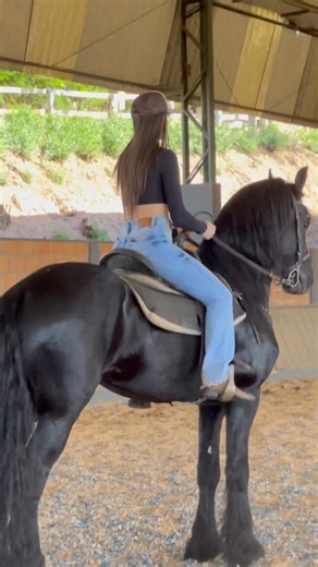 9.3K views · 149 reactions | #custos #cavalos #markup #agrogirl #gestao #consultoria #shortshorts #sistema #shortvideo #gestaofinanceira #shortsyoutube #precificacao #software #agro #formacaodeprec | Geand GOL | Facebook