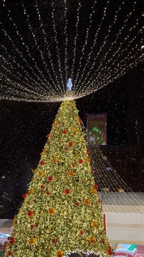 OpenRice Singapore on Instagram: "This year-end, Christmas on A Great Street (COAGS) 2025 transforms Orchard Road into a festive wonderland, rounding off Singapore’s SG60 celebrations with a 3.1 km stretch of sparkling lights, wreaths, ribbon swirls and SG60 x Merli motifs. ✨🇸🇬 Look forward to a revamped Great Christmas Market and Great Christmas Village, homegrown F&B and retail pop-ups, the iconic 14-metre-tall Mastercard Christmas tree with nightly snowfall shows, outdoor projections, live