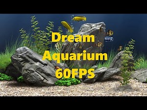 Dream Aquarium Screensaver 1 Hour - Full HD 60FPS Relaxing Fish Tank