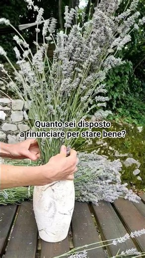 Quanto sei disposto a rinunciare per stare bene?#shortsfeed #benessereinteriore #rurallife