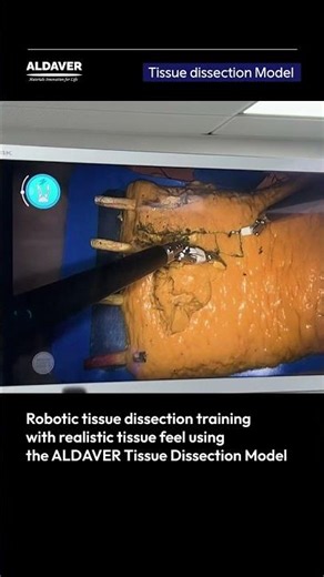 Robotic Surgery Training Has Reached This Level