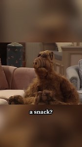 275K views · 6.4K reactions | 'An alien being has come to live with us' #ALF #alien #cats #humor | Alf | Facebook