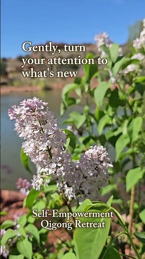 Gently Turn Toward What’s New 🌿 | QiGong Retreat Moment