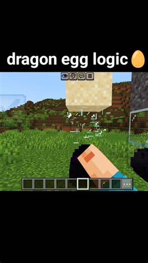 Minecraft DRAGON EGG Logic is Broken! 🤯🥚 #shorts