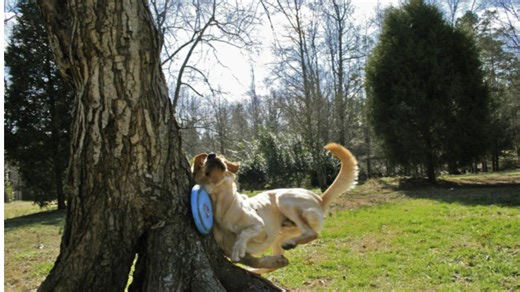 These Photos Were Taken At Just The Right Time