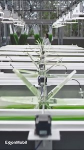 731K views · 160 reactions | FIND OUT about the emissions-reducing potential of algae biofuels. | ExxonMobil | Facebook