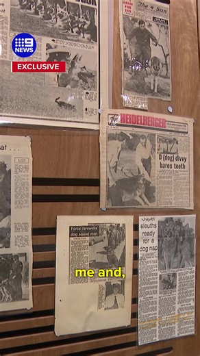 Victoria's infamous Dog Squad are celebrating their 50th anniversary. #9News | 9 News Sydney