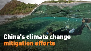 China is making a substantial impact on global climate change efforts. Analyst Changhua Wu details how Beijing is contributing through financial support, resources, and expertise. #heat #climatecrisis #sealevels Full show: https://youtu.be/4G6bA5vnDMs | CGTN America