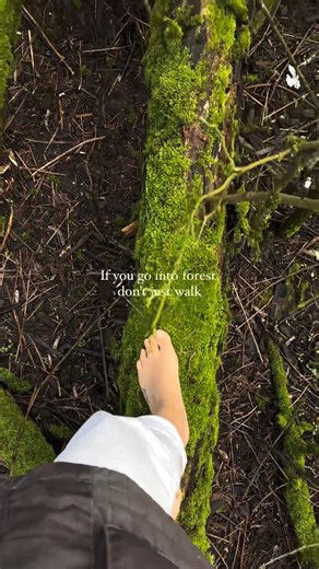 5.2K views · 259 reactions | This is your sign to walk barefoot in the forest! 朗 As Spring opens up, there's no better time to get grounding outdoors! (@paulines_journey) #healthyearth #frequency #frequencyhealing #frequencymedicine #frequencyvibrations #ocean #oceanlife #goodvibes #ɢᴏᴏᴅᴠɪʙᴇs #grounding #earthing #earthing #bodybalance #bodyharmony #bioelectric #sharewithfriends #biochemistry #humanbiology #bodyandmind #itsallaboutbalance | BeGrounded | Facebook
