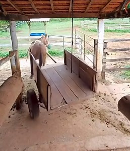 1.5M views · 15K reactions | Saturday Sleuthing: ‍♂️‍♀️ Tag a mate that needs some reversing tips! 𢡊 . . . . #SaturdaySleuthing 樂 #StyroMAX  #StyroMAXTheWorld  #FactoryDirect  #AusNumberOne  #QualityBuiltInNotAddedOn  #QuailtyFirstCauseQualityLasts 1️⃣ #BuiltForToday  #BuiltToLastForTomorrow   www.styromax.com.au  https://youtube.com/c/StyroMAXInsulatedPanels  | Styromax Fibreglass Composite Panels | Facebook