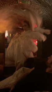 A Cabaret Event in London #party #drinks #london #neomaniamagazine #society #bars | Neomania magazine