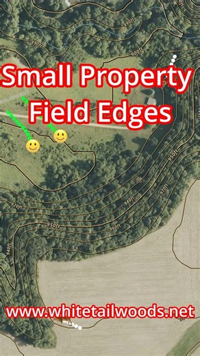 Small property field edges || #bigbucks #habitatdesign #hunting #huntingstrategy