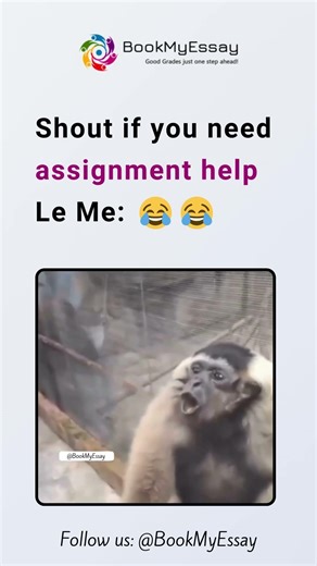 Shout If You Need Assignment Help 😱📚 #assignment #funnyimages #collegelifememes