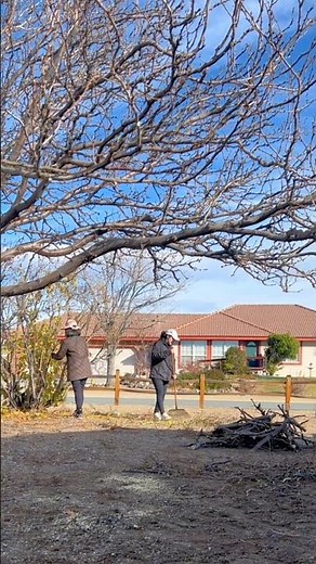 USA | DIY Easy landscape cleanup ! #landscape #automobile #gardening #garden #lawn