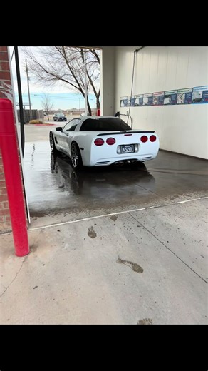 Estilo de Tuxedo Blanco para C5 Corvette