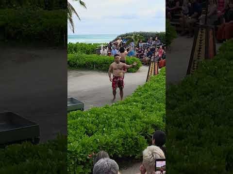 The Ultimate Retired Lifestyle Hawaiian pig roast