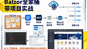 2026全新Blazor全家桶教程(带支付,秒杀项目)