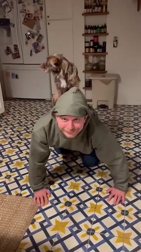 Mac Demarco Music: Best Song Albums and Reflections