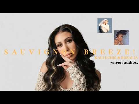 Sauvignon Breeze! - ROSALÍA & Kali Uchis (Mashup)