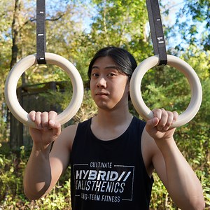 Gymnastic Rings