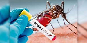 Know About 7 Warning Signs Of Dengue Fever From The Expert