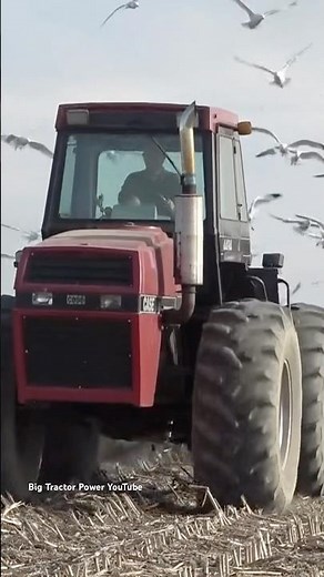 CASE International 4494 Tractor Plowing #bigtractorpower