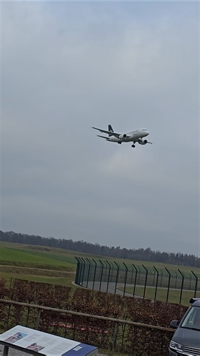 Brüssels Airlines Airbus A319-100 Star Alliance #airbusa319 #staralliance #aviation #planespotting