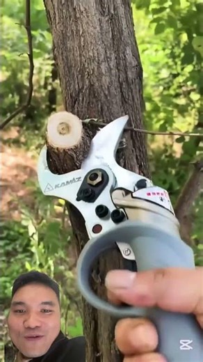 Effective Electric Tree Cutting Shears #beautifultools