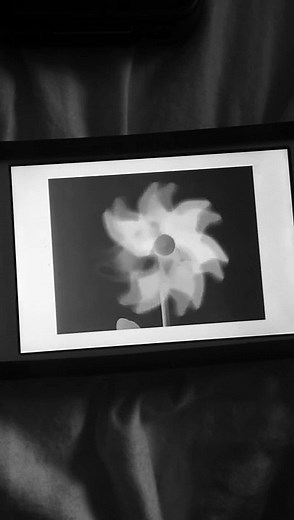 Copy of Baby Mozart music festival g major part 1 of 2