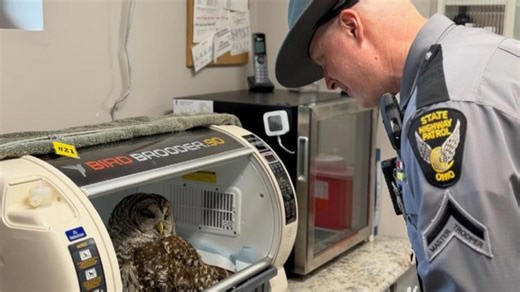 State trooper rescues injured owl found alongside highway