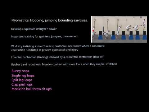 Types of Strength Training