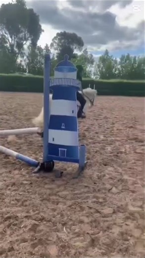 Don’t mind my eq it’s really weird jumping such a small pony