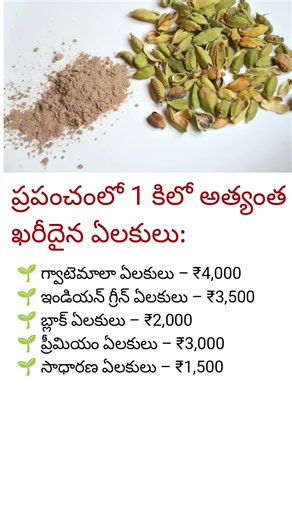 Top 5 Most Expensive Cardamom Varieties in the World 🌿💰 | World Facts Telugu #shorts #parimala