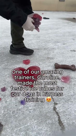 Valentine’s Day Enrichment!