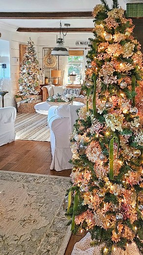 279 reactions · 10 comments | Do you remember my hydrangea Christmas...