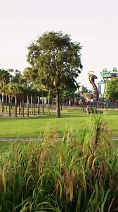 4.6K views · 123 reactions | Welcome to "Wild Encounters", our brand new web series where we give you an inside look at incredible animals and the amazing people who care for them! Today, we're chatting with Cara about her zoological journey with Busch Gardens, and getting to know some fun facts about rhinos, hoofstock, and beyond. 憐 Click the link to watch the full video and subscribe to our YouTube channel!: https://bit.ly/3p6f84F | Busch Gardens Tampa Bay | Facebook