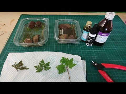 Preserving Plants with Glycerine (Frugal Wargames Foliage)