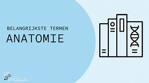 Belangrijkste termen: anatomie – Juf Danielle