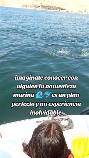 Descubre la naturaleza marina en La Punta Callao 2026