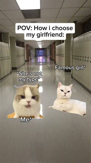 relatable?😂 #catmemes #relatable #memes
