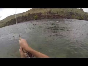 Green river utah cicada fly fishing