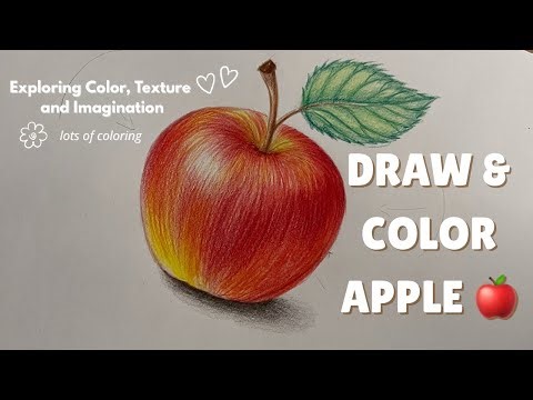 How to Draw & color an Apple Step by Step | Beginner Pencil Sketch